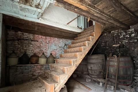 Hiša Višnjan, 160m2