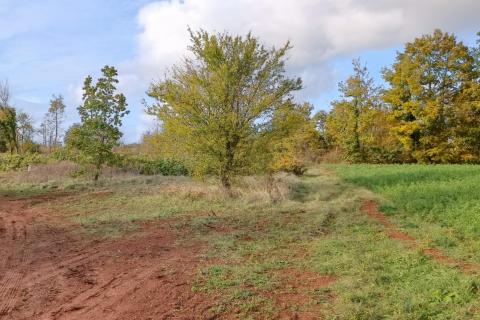 Istra, Žminj - građevinsko zemljište na lijepoj lokaciji