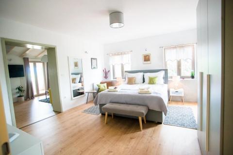 Hiša Ližnjan, 450m2