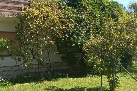 Hiša Brod Moravice, 300m2