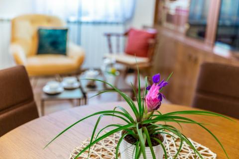 Klana - apartman 2 sobe, 2 kuhinje, 2 dnevna boravka - 100m2