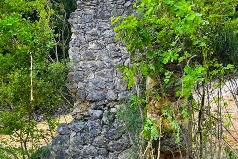 Terreno non edificabile Rovinj, 11.000m2