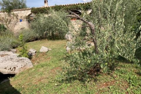 Momjan okolica, konoba, sobe za turistički najam i građevinsko zemljište