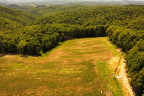 Terreno edificabile Selakova Poljana, Vojnić, 300.000m2