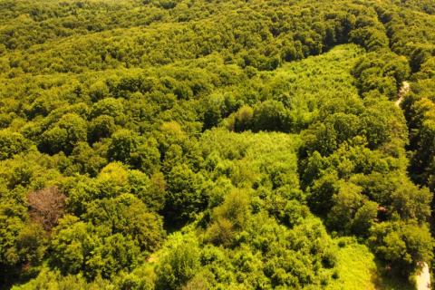 Terreno edificabile Selakova Poljana, Vojnić, 300.000m2