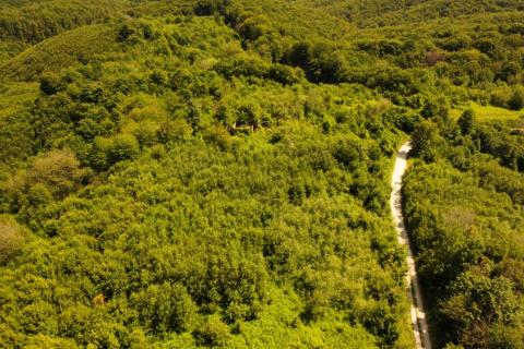 Terreno edificabile Selakova Poljana, Vojnić, 300.000m2