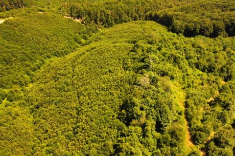 Terreno edificabile Selakova Poljana, Vojnić, 300.000m2