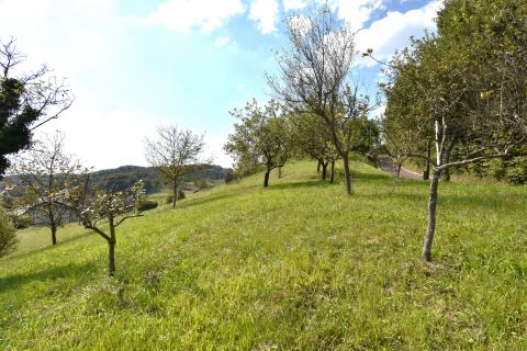 Zaprešić, Luka, građevinsko zemljište 4228 m2