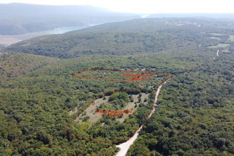 ISTRA, BARBAN - Veliko zemljište 5ha za investicijsko ulaganje