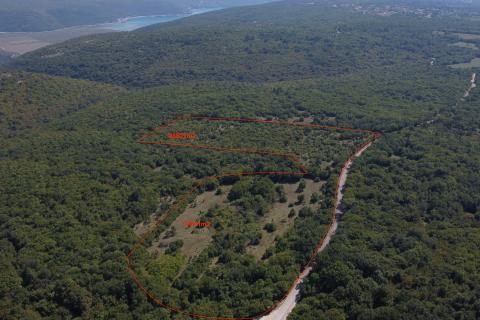 ISTRA, BARBAN - Veliko zemljište 5ha za investicijsko ulaganje