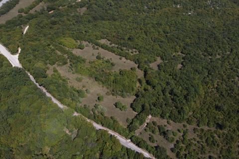 ISTRA, BARBAN - Veliko zemljište 5ha za investicijsko ulaganje