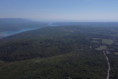 ISTRA, BARBAN - Veliko zemljište 5ha za investicijsko ulaganje