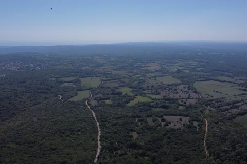 ISTRA, BARBAN - Veliko zemljište 5ha za investicijsko ulaganje