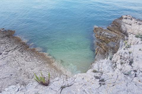 Terreno non edificabile Krnica, Marčana, 750m2