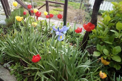 Haus Poljane, Opatija - Okolica, 230m2