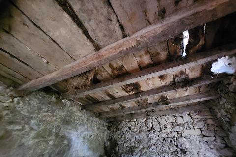 House Hum, Buzet, 800m2