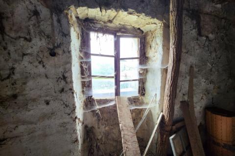 House Hum, Buzet, 800m2