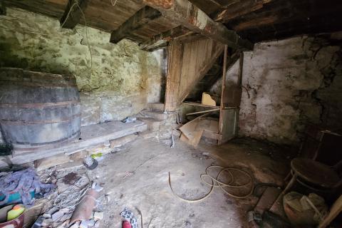 House Hum, Buzet, 800m2