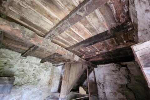 House Hum, Buzet, 800m2