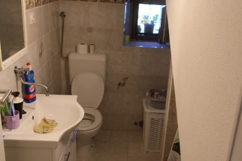 Apartmanska kuća u blizini Novigrada