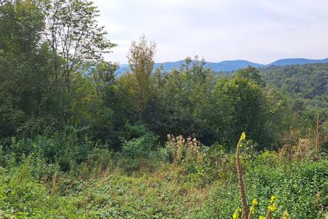 Земельный участок нестроительного назначения Brdce, Matulji, 2.287m2