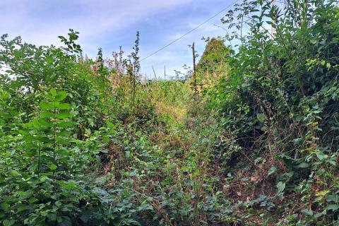 Земельный участок нестроительного назначения Brdce, Matulji, 2.287m2