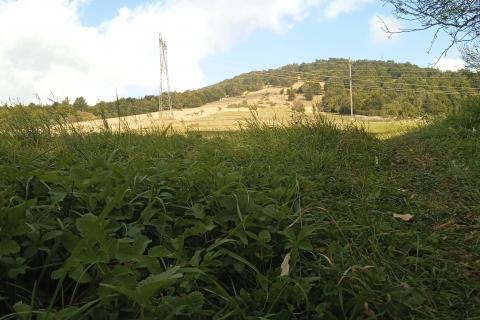 Hiša Stari Laz, Ravna Gora, 68m2