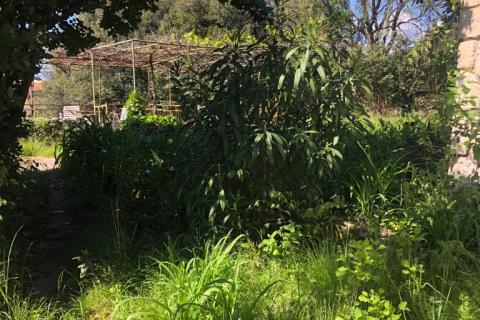 Квартира/Апартамент Centar, Rijeka, 100m2