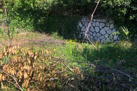 Квартира/Апартамент Centar, Rijeka, 100m2