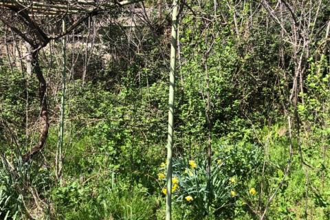 Квартира/Апартамент Centar, Rijeka, 100m2