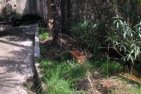 Квартира/Апартамент Centar, Rijeka, 100m2