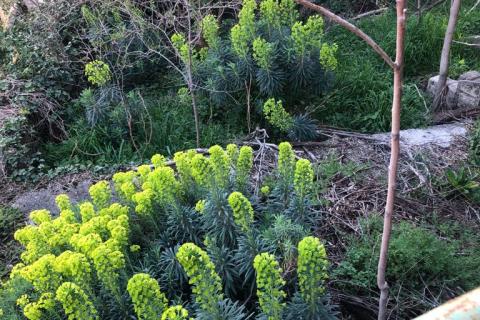 Квартира/Апартамент Centar, Rijeka, 100m2