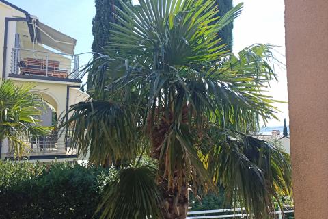 Hiša Dramalj, Crikvenica, 300m2