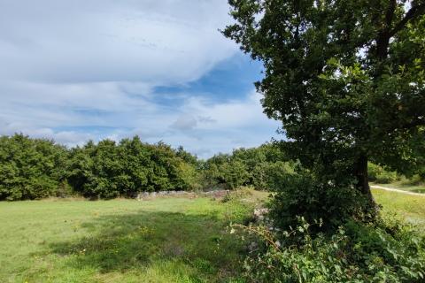 Stavbno zemljišče Marčana, 1.102m2