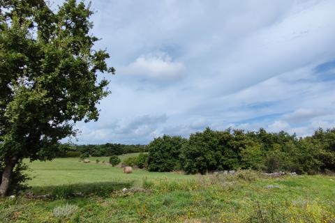 Stavbno zemljišče Marčana, 1.102m2
