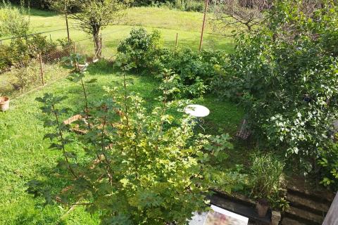 Hiša Ravna Gora, 63m2