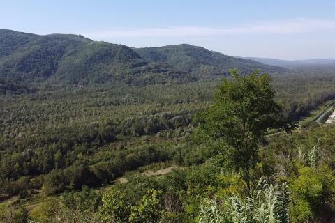 Hiša okolica, Motovun, 230m2