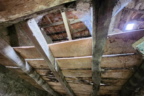 Istra, Buzet, Ročko polje - dvije samostojeće kamene kuće