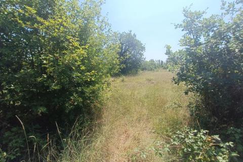 Terreno edificabile Smoljanci, Svetvinčenat, 3.337m2