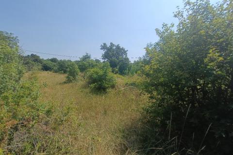 Terreno edificabile Smoljanci, Svetvinčenat, 3.337m2