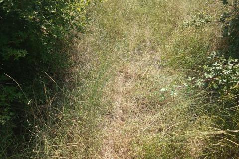 Terreno edificabile Smoljanci, Svetvinčenat, 3.337m2