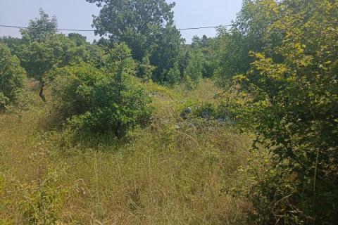 Terreno edificabile Smoljanci, Svetvinčenat, 3.337m2