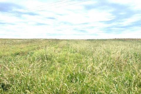 Bauland Vrbovec, 2.906m2