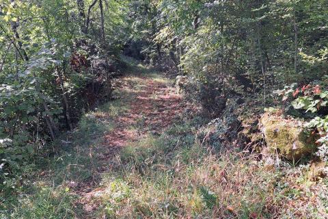 Matulji,Bregi,poljoprivredno zemljište