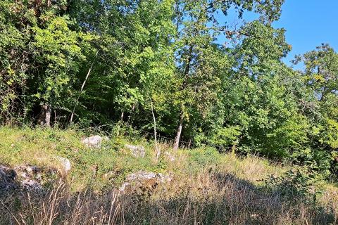 Matulji,Bregi,poljoprivredno zemljište