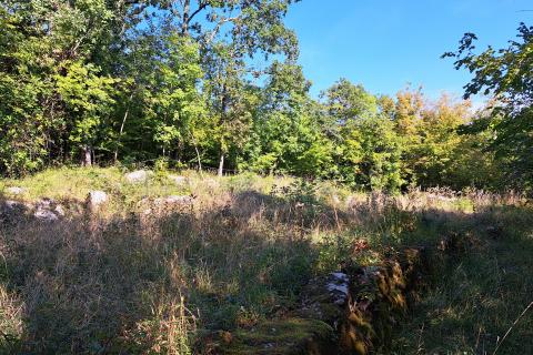 Matulji,Bregi,poljoprivredno zemljište