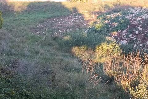 Bauland Čavle, 758m2