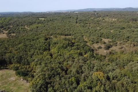 Niet bouwgrond Buje, 126.151m2