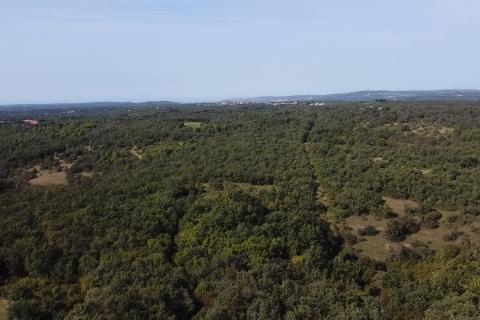 Niet bouwgrond Buje, 126.151m2