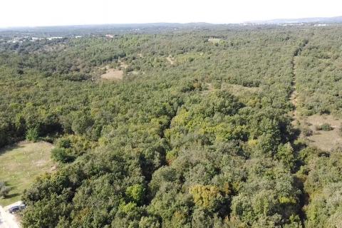 Niet bouwgrond Buje, 126.151m2